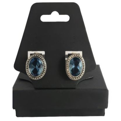 Picture of Avon Blue Rhinestone Oval Silver Earrings